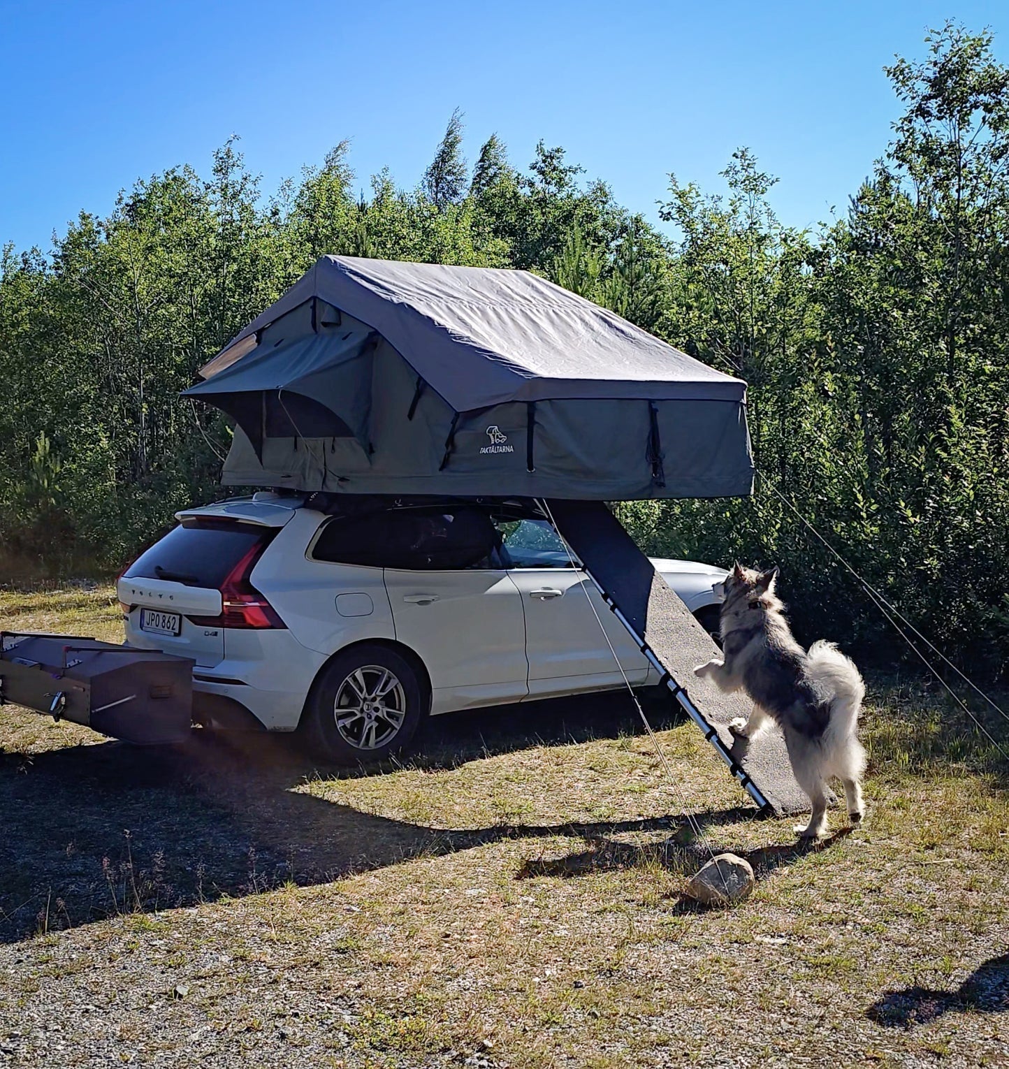 Nyhet! Hundramp för taktält